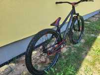 Dartmoor quinnie 2020