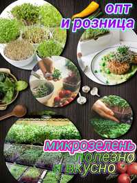 Микрозелень, проростки микрозелени, микрогрин.