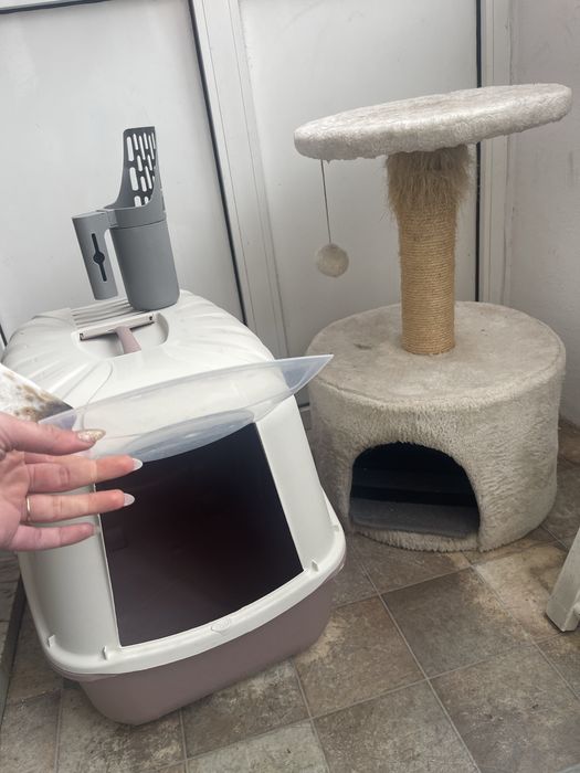 Wc para gato + arranhador com casa