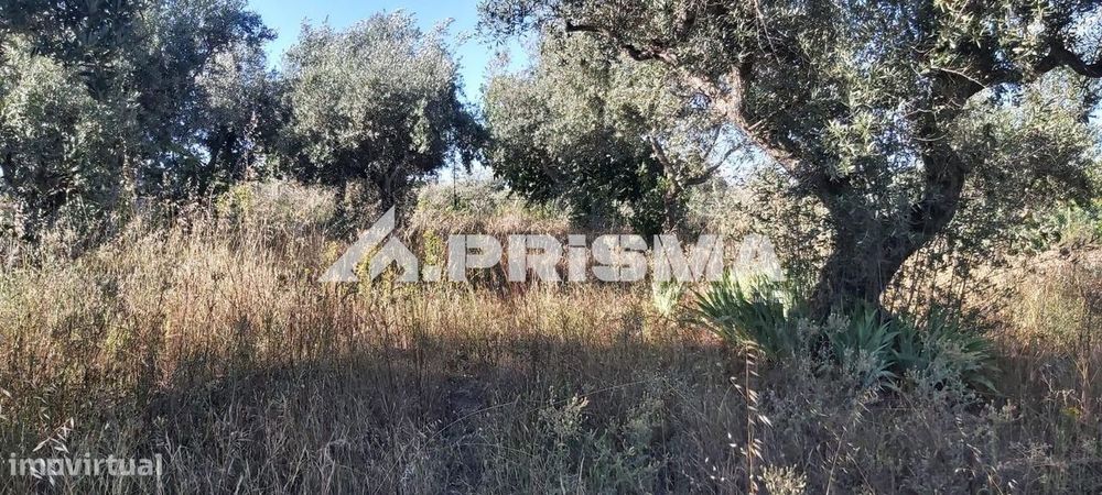 Quintinha para venda em Póvoa Rio de Moinhos