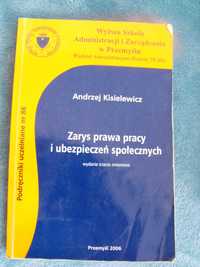 Zarys prawa pracy i ubezpieczeń społecznych-Andrzej Kisielewicz