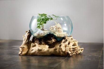 Вази Балі з кореня дерева тік