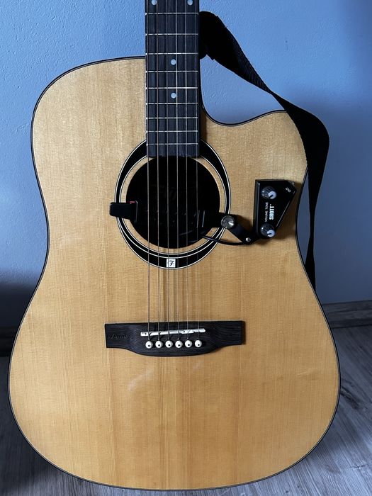 Gitara OKAZJA flycat standart c100 nt ZESTAW