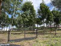 Działka budowlana 1125 m2 Feliksów gm. Leszno