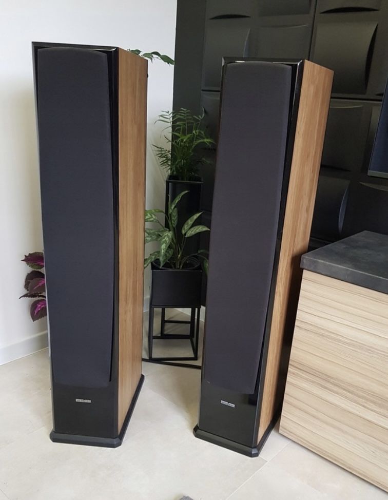 Kolumny Dynavoice DF-6 dab + czarny polysk
