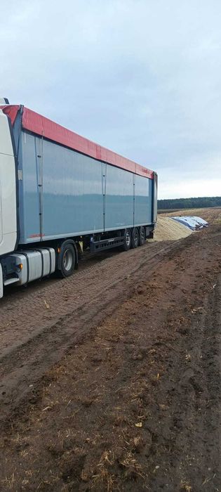 Wysłodki buraczane - kampania cukrownicza 2025