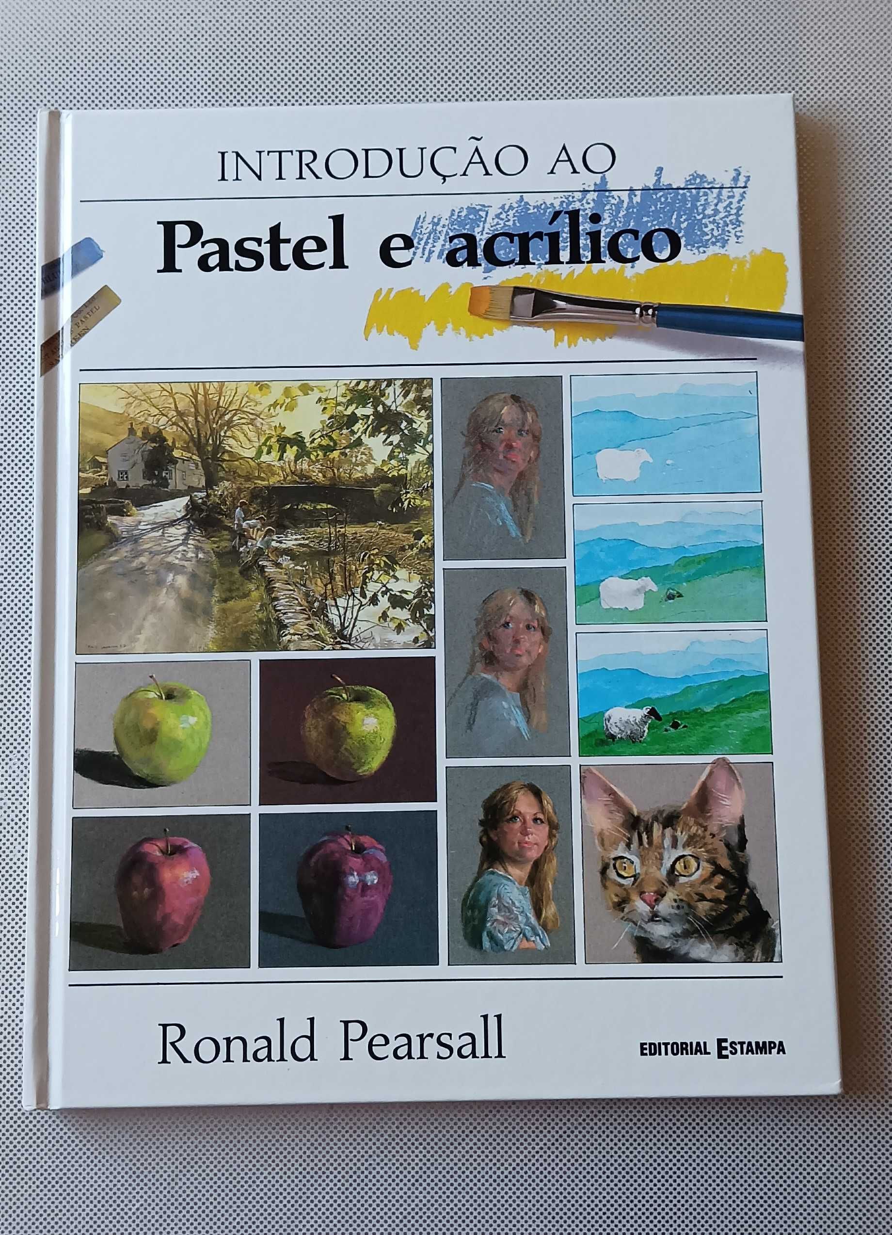 Introdução ao Pastel e Acrílico