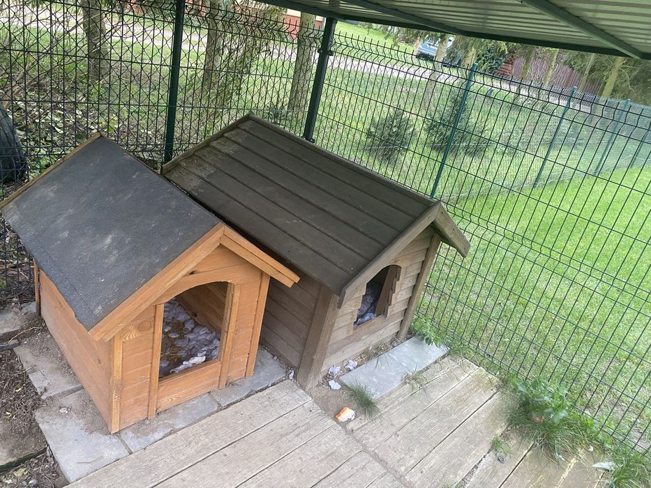 Buda dla psa sprzedam