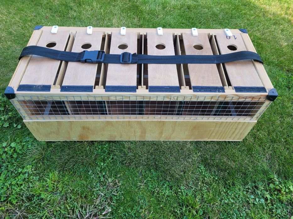 Kosz transportowy dla gołębi / kosz do transportu gołębi