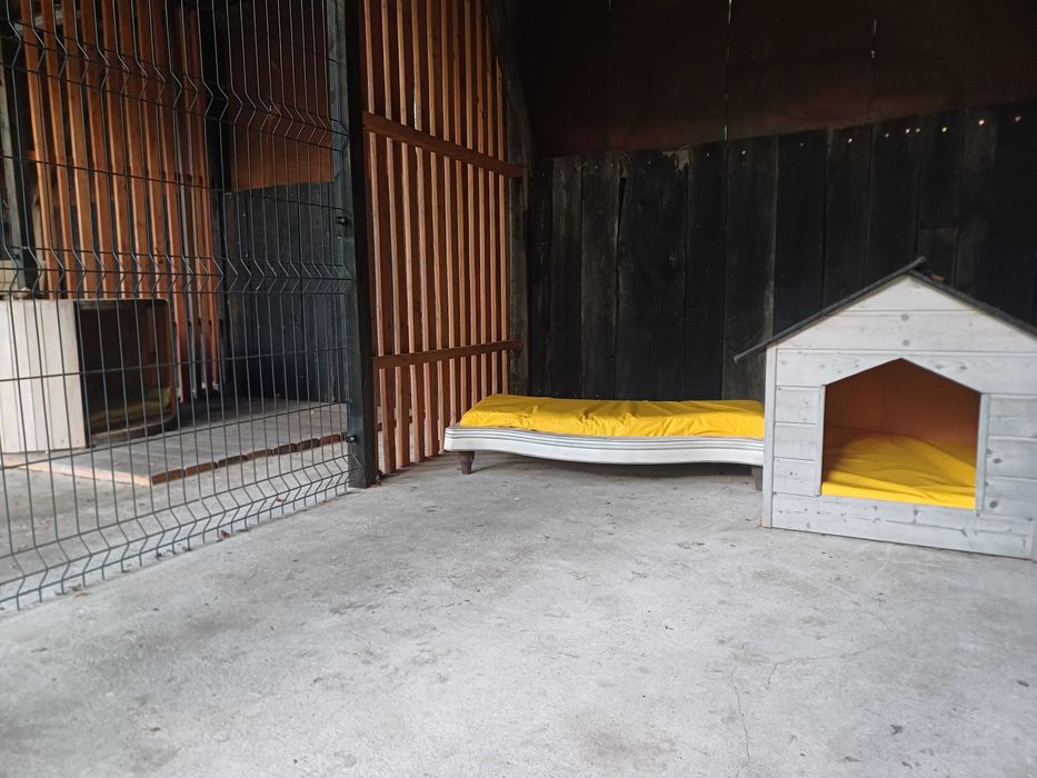 Hotel dla psów , zwierząt ,opieka nad psem Częstochowa Wieluń