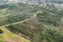 Terreno  para venda