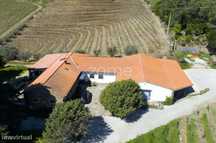 Quinta com 14 Hectares em Pleno Douro Vinhateiro
