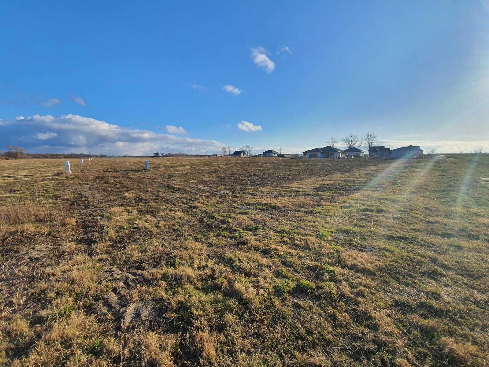 Działka budowlana 10 ar , Uzbrojona, Dziuplina