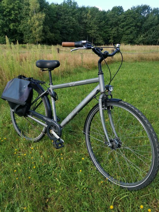 Rower Triumph Travel -28", Shimano Nexus 7, rama 49cm.