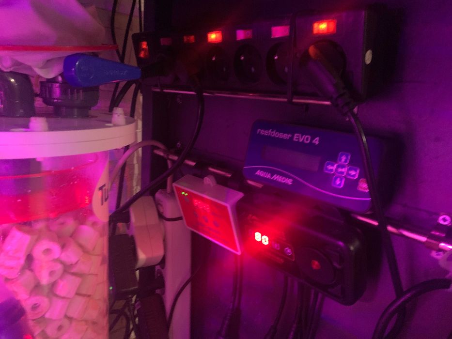 Akwarium morskie 500l optiwhite, szafka, sump, lampy, full osprzęt