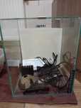 Krewetkarium aguael 25 l