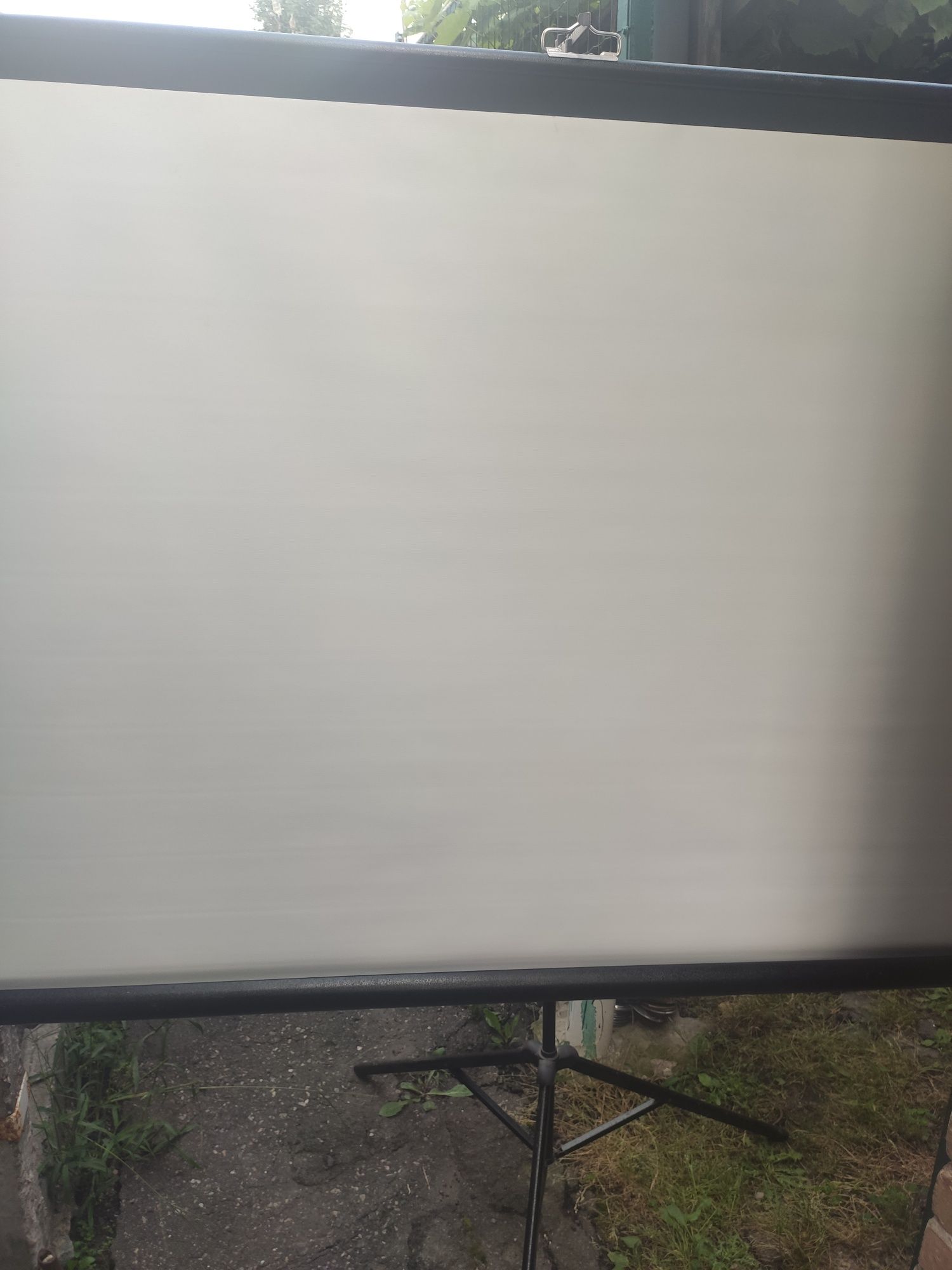 Екран для проектора. Проекторний экран Projecta Elitescreens