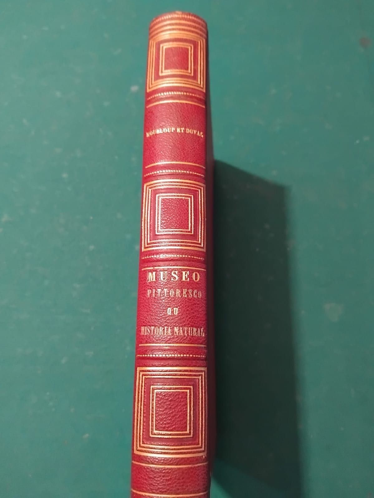 Livro Muséo Pittoresco