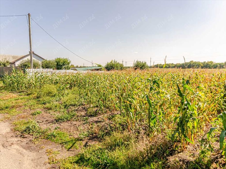 Земельна ділянка в Микільському!