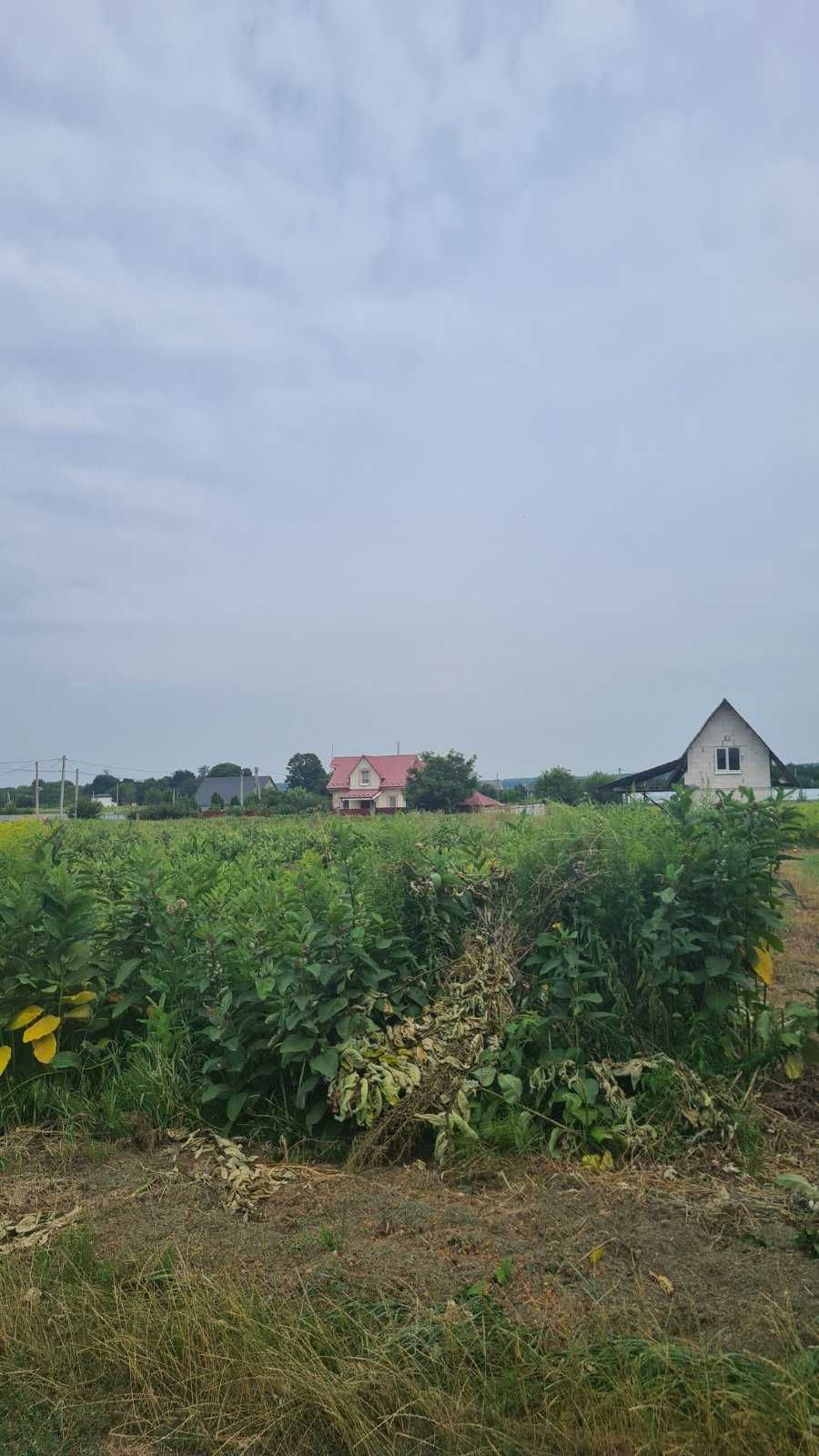 Земля, 7 соток Новосілки, Макарівський рн
