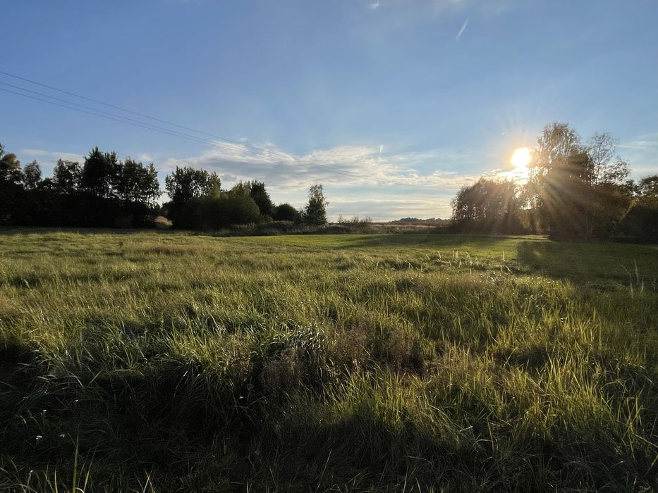 Urokliwa działka na wynajem lub dzierżawę.