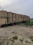 Transport slomy i siana