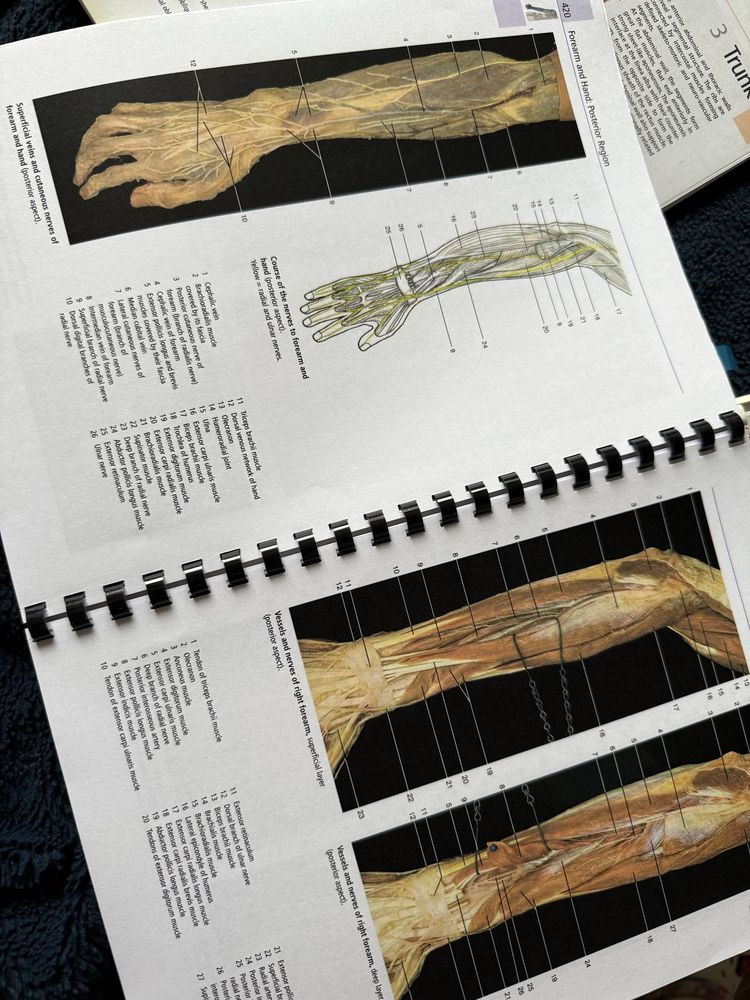 Atlas anatomii Yokochi 7 wydanie po angielsku