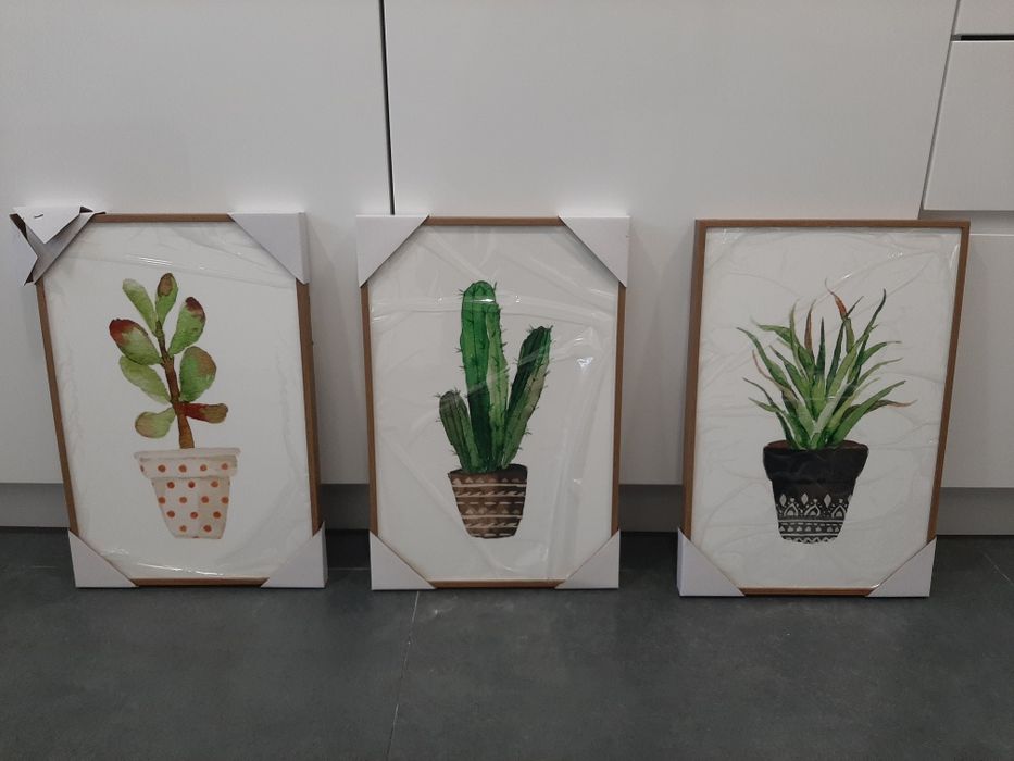 Quadros Modelo Laska
