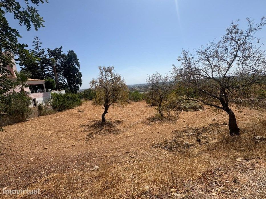 Terreno Rústico na Alfarrobeira, Loulé, Algarve