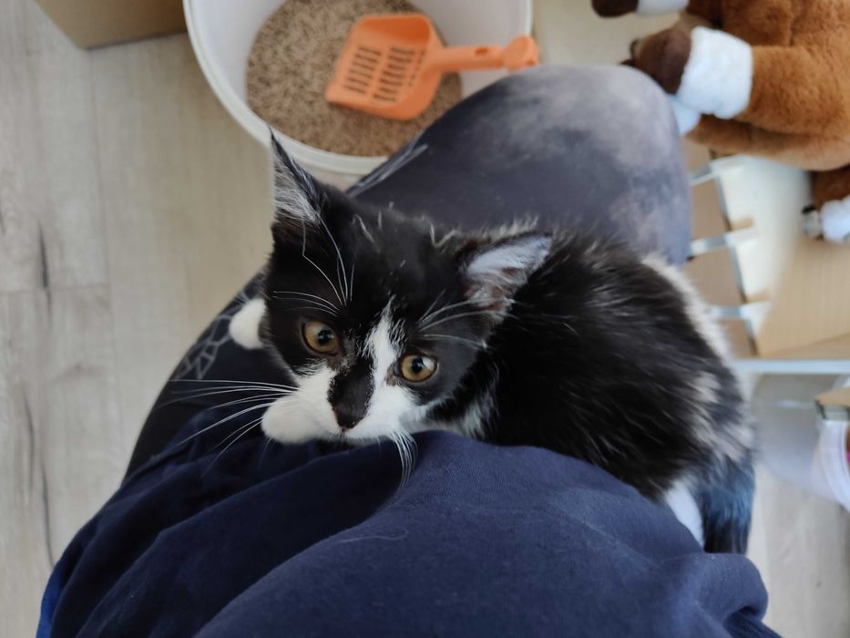 Czy Maja czeka na Ciebie?