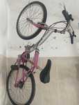 Bicicleta - Bicicletas Coelho