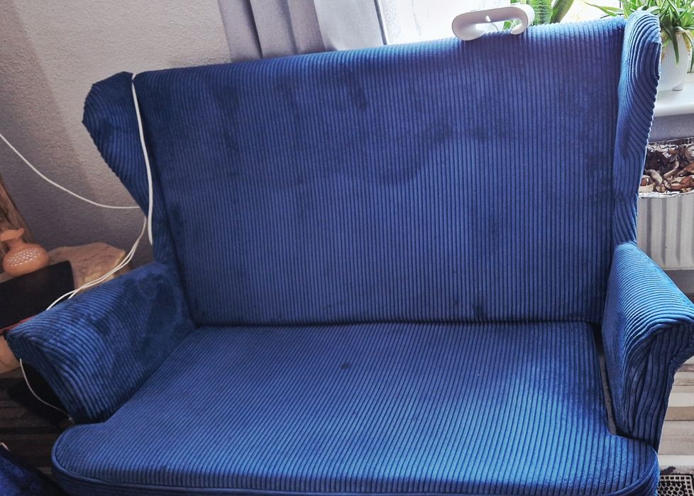 Kanapa uszak, niebieska