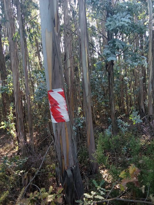 Vendo terrenos industrial em Aguada de cima por 10.000_