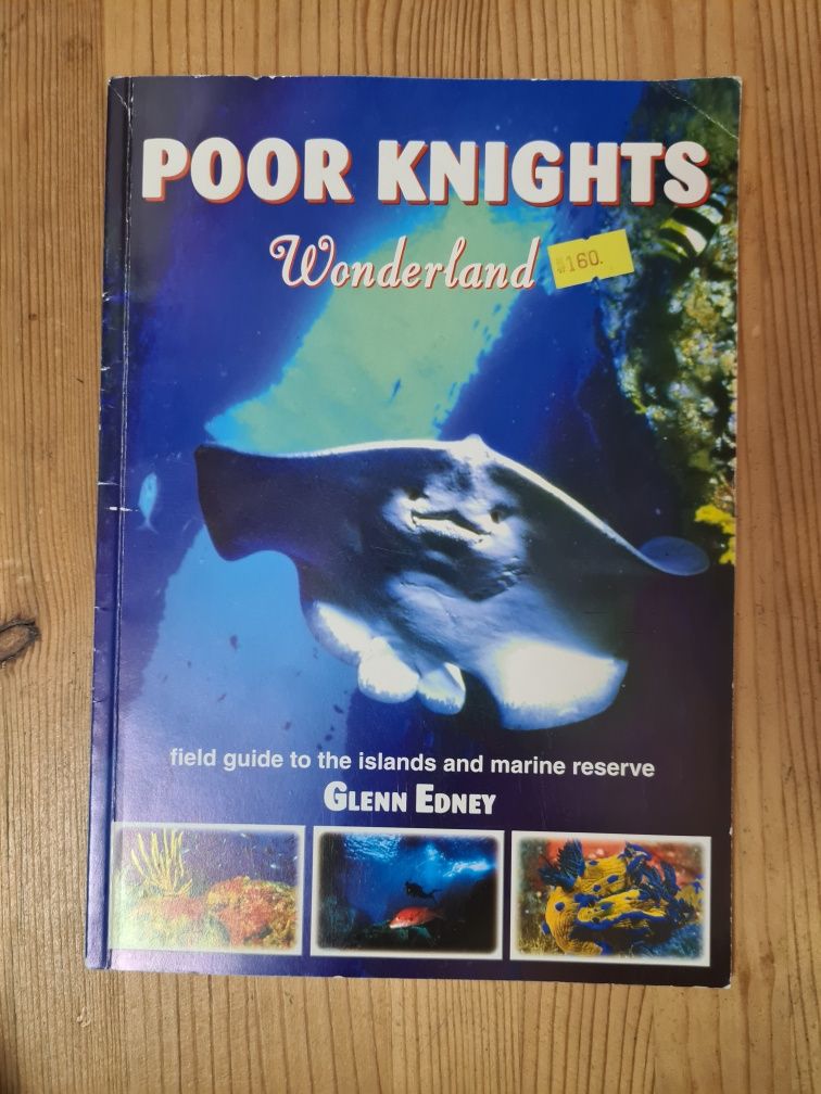 Poor Knights Wonderland - Glenn Edney książka po angielsku