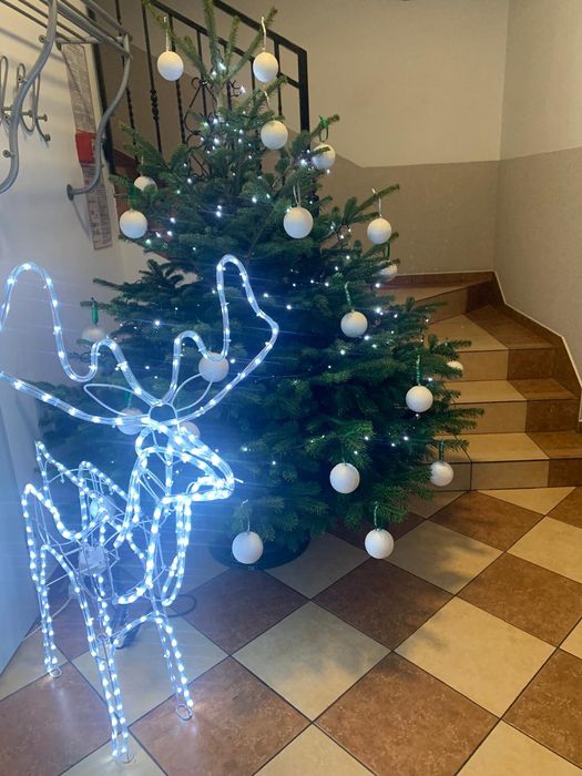Wyprzedaż! Renifer LED XXXL z ruchomą głową w bardzo atrakcyjnej cenie