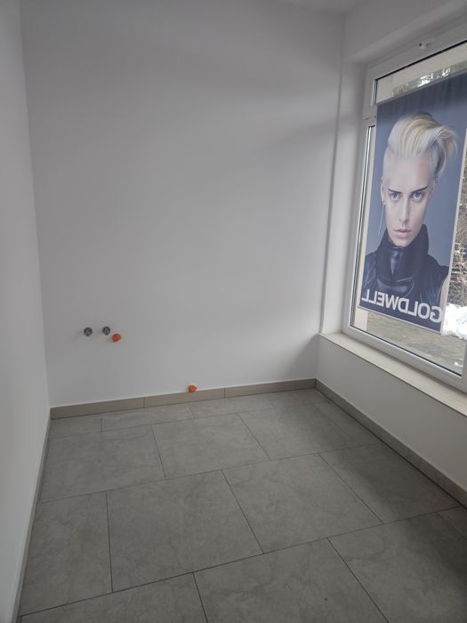 Lokal uslugowy ploskie