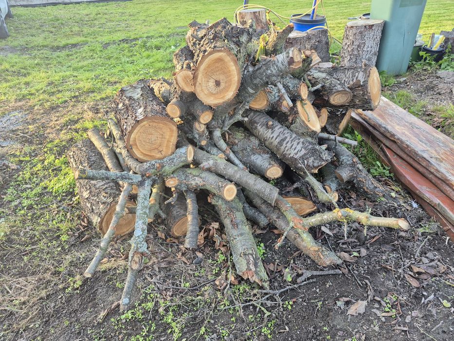 Drewno owocowe do wedzenia