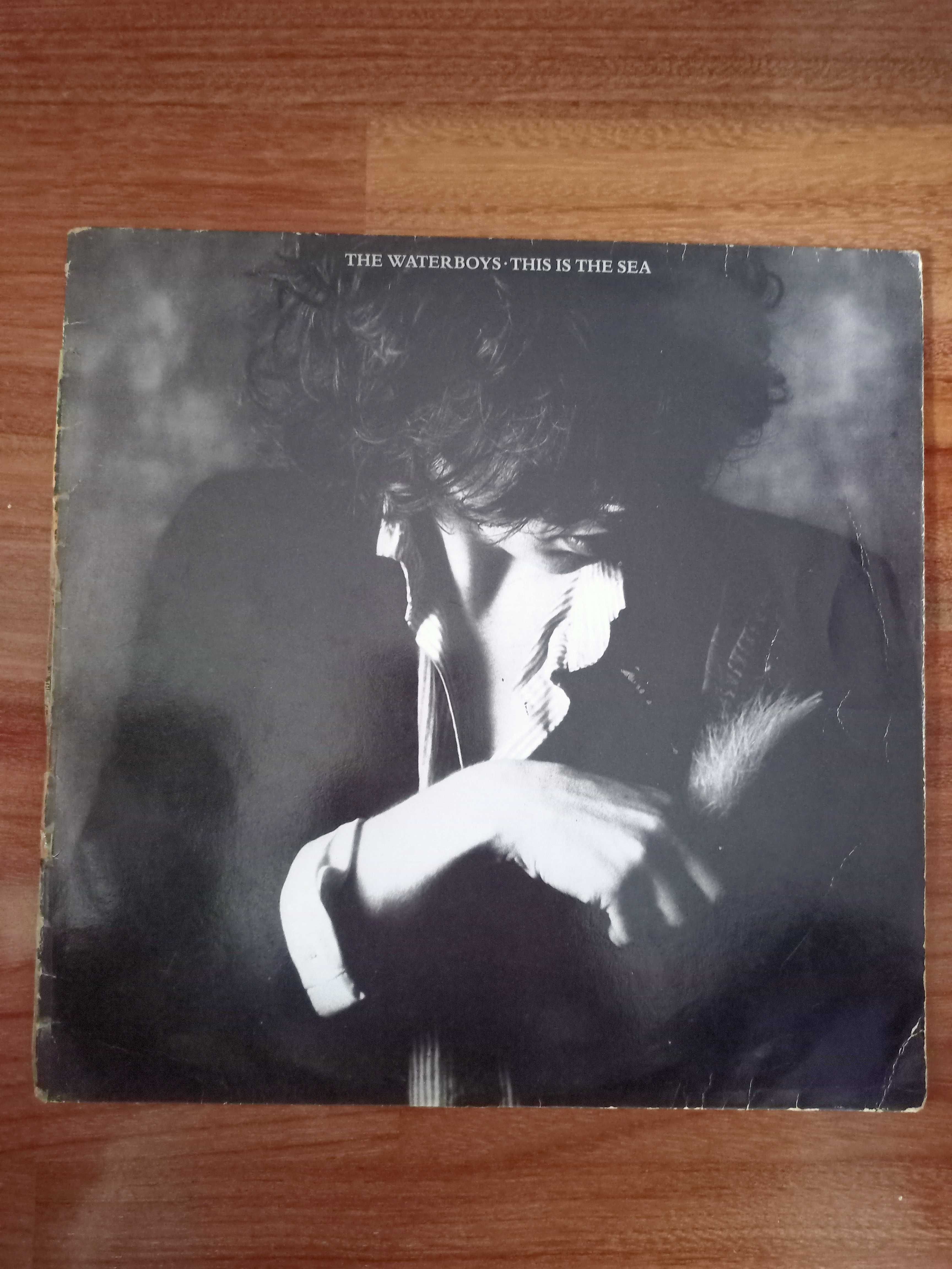 Disco vinil - The Waterboys