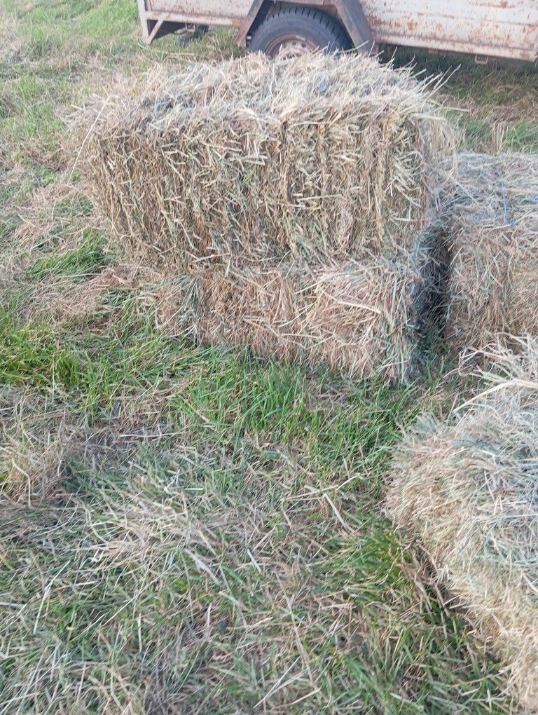 Сено луговое и солома в тюках