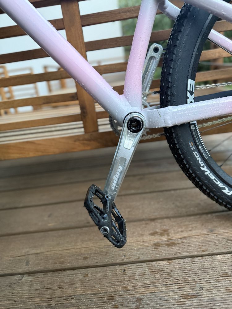 specialized p3 (custom)
