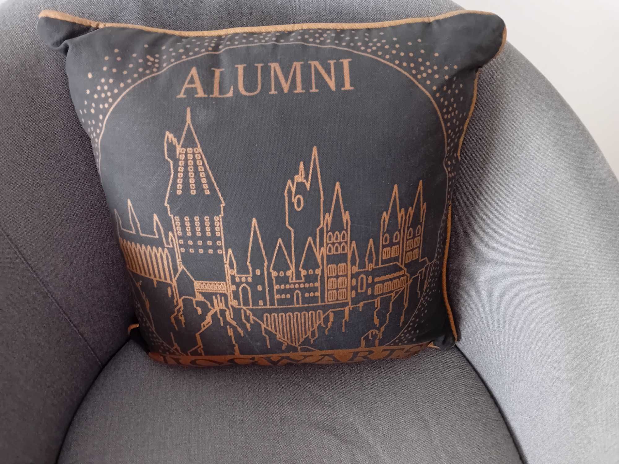 Almofada Harry Potter - Primark