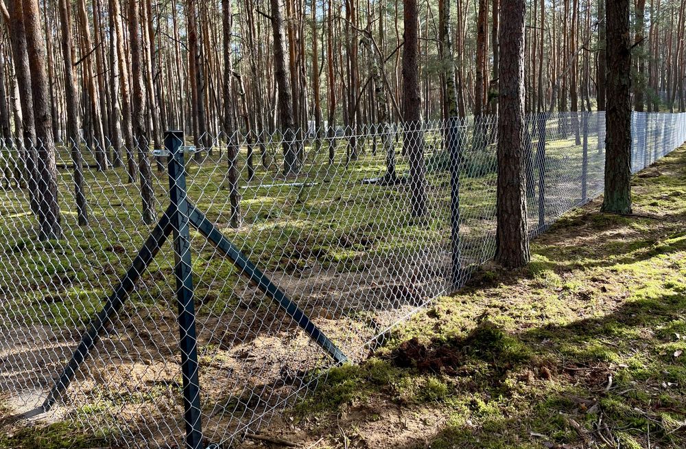 Montaż ogrodzeń Ogrodzenia Panelowe  Siatka Obsadzanie bram i furtek