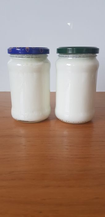 Ser podpuszczkowy, wędzony, mleko, jogurt