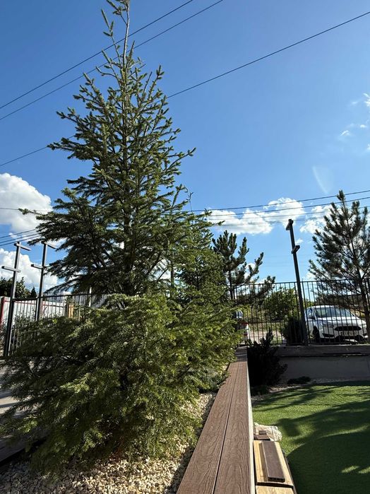 Акційна ціна‼️ 1-кімнатна з окремою кухнею та газом Окружна Кільцева