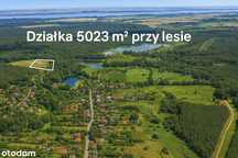 Działka budowlana 5023 m² – cisza, las, woda, Jezierzyce (Szczecin)