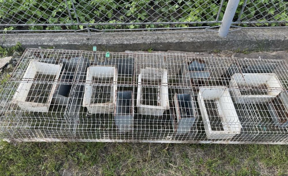 Клітки для кролематок