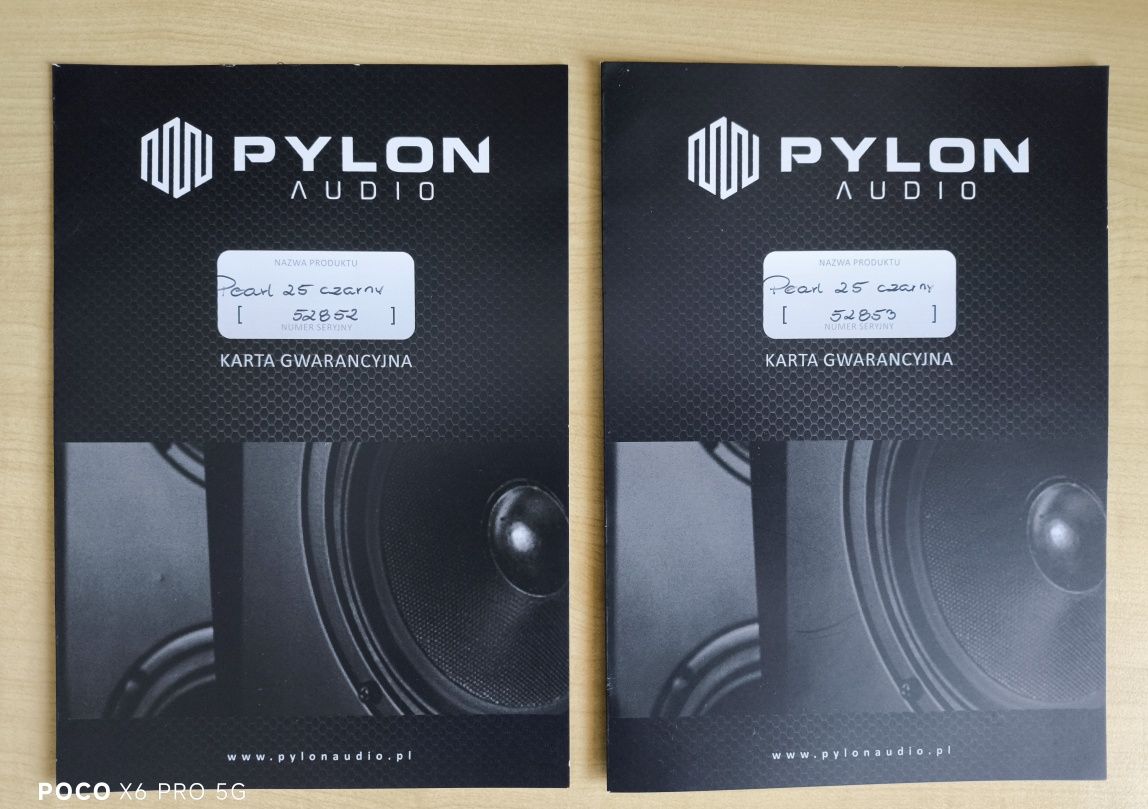 Pylon Audio Pearl 20