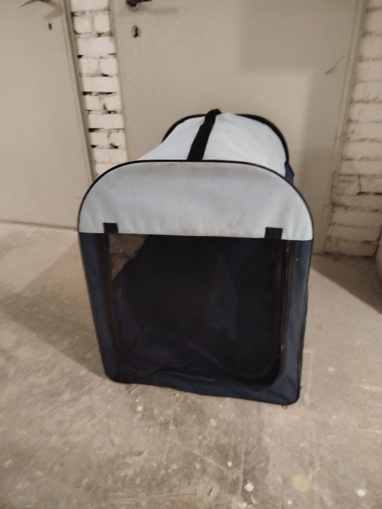 Transporter dla psa