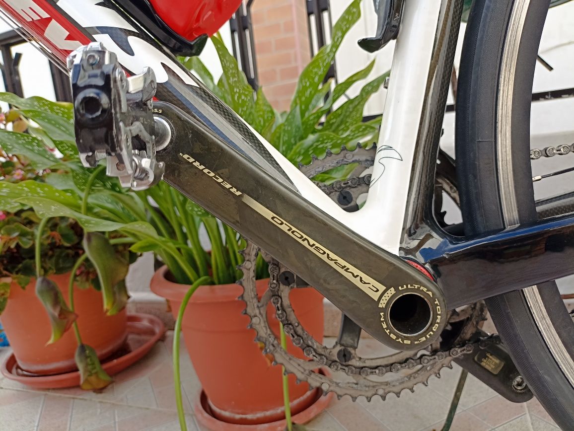 Bicicleta de ciclismo STEVENS XENOM em carbono