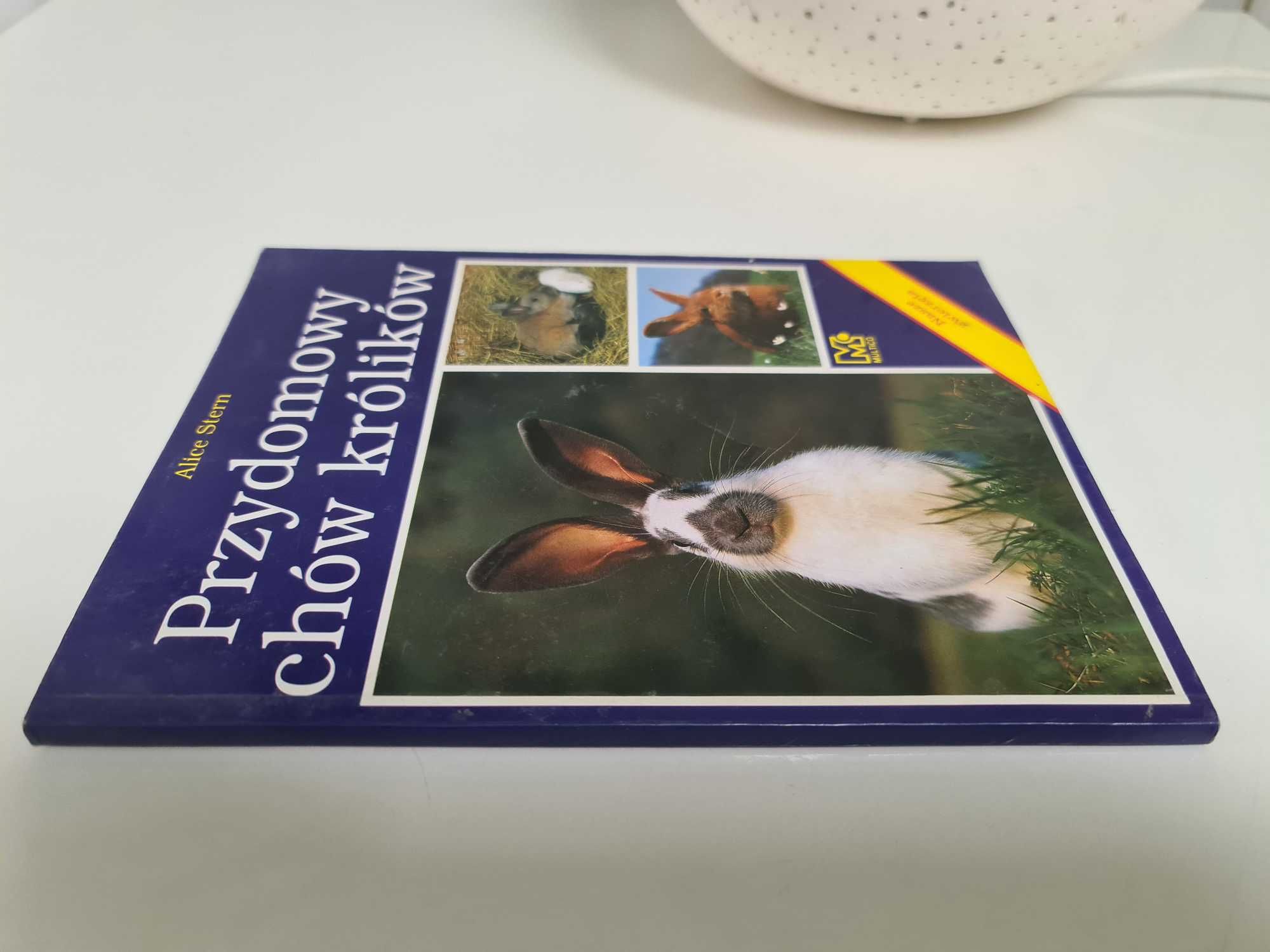 Przydomowy chów królików Alice Stern